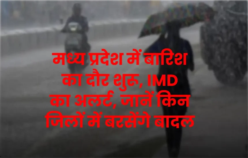 MP Weather
